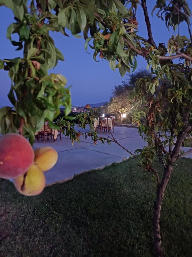 Hotel Lu Baroni Budoni Bagian luar foto